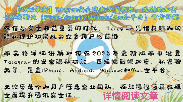 Telegram中文版安全隐私设置主界面演示-包含账号保护、隐私控制、端到端加密等核心安全功能的详细操作步骤