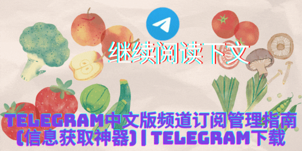 Telegram中文版语音视频通话功能演示配图